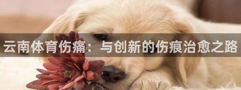 谈球吧