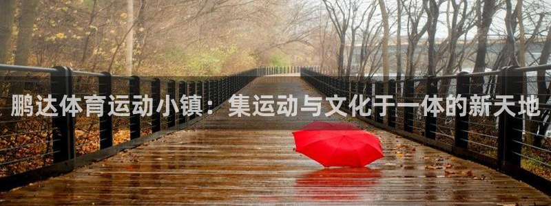 谈球吧体育官网：鹏达体育运动小镇：集运动与文化于一体的新天地