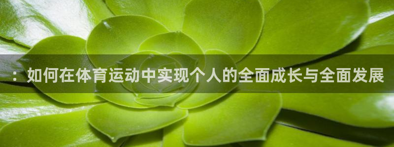 谈球吧体育