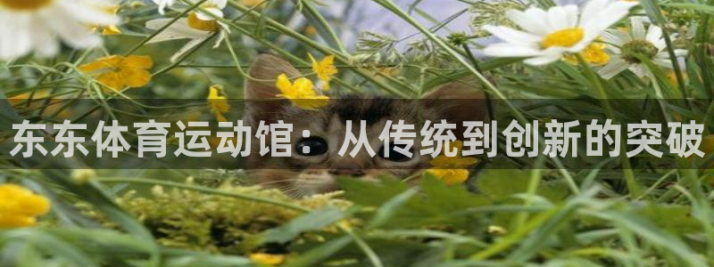 谈球吧