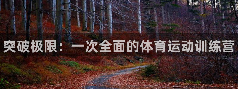 谈球吧：突破极限：一次全面的体育运动训练营