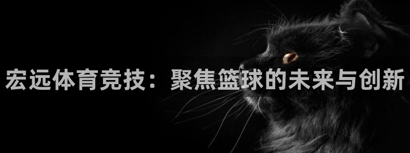 谈球吧体育：宏远体育竞技：聚焦篮球的未来与创新