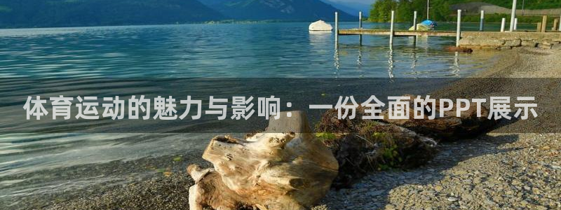 谈球吧体育：体育运动的魅力与影响：一份全面的PPT展示