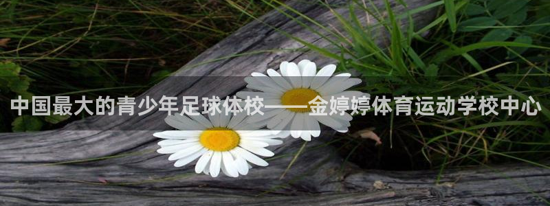 谈球吧：中国最大的青少年足球体校——金婷婷体育运动学校中心