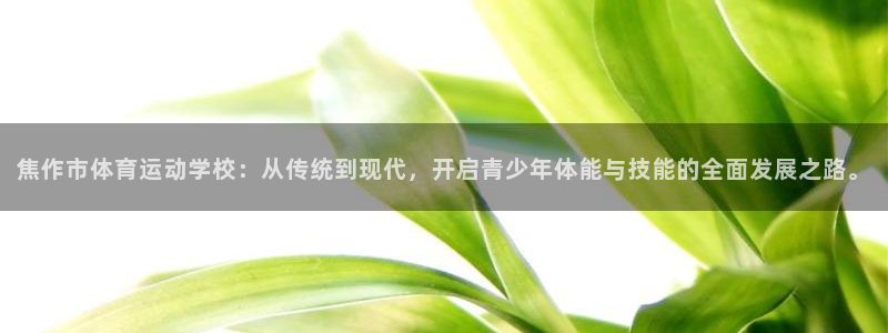谈球吧：焦作市体育运动学校：从传统到现代，开启青少年体能与技能的全面发展之路。